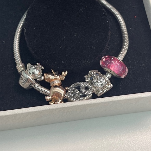 Pandora 925 silver bracelet with 5 charms reindeer owl free hugs cactus cancer - Picture 2 of 9